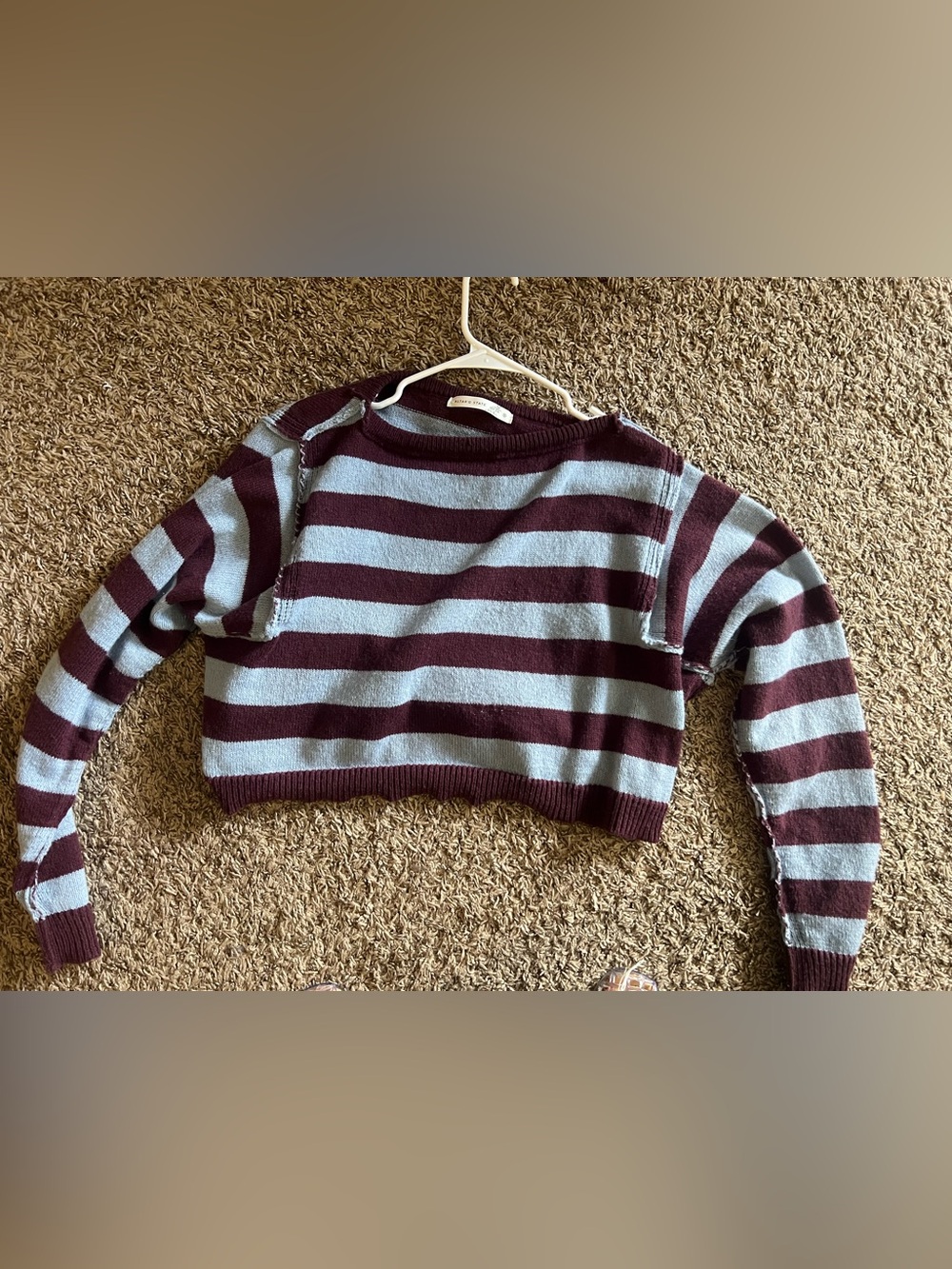 Altard State Striped Cropped Sweater in Purple and Light Blue